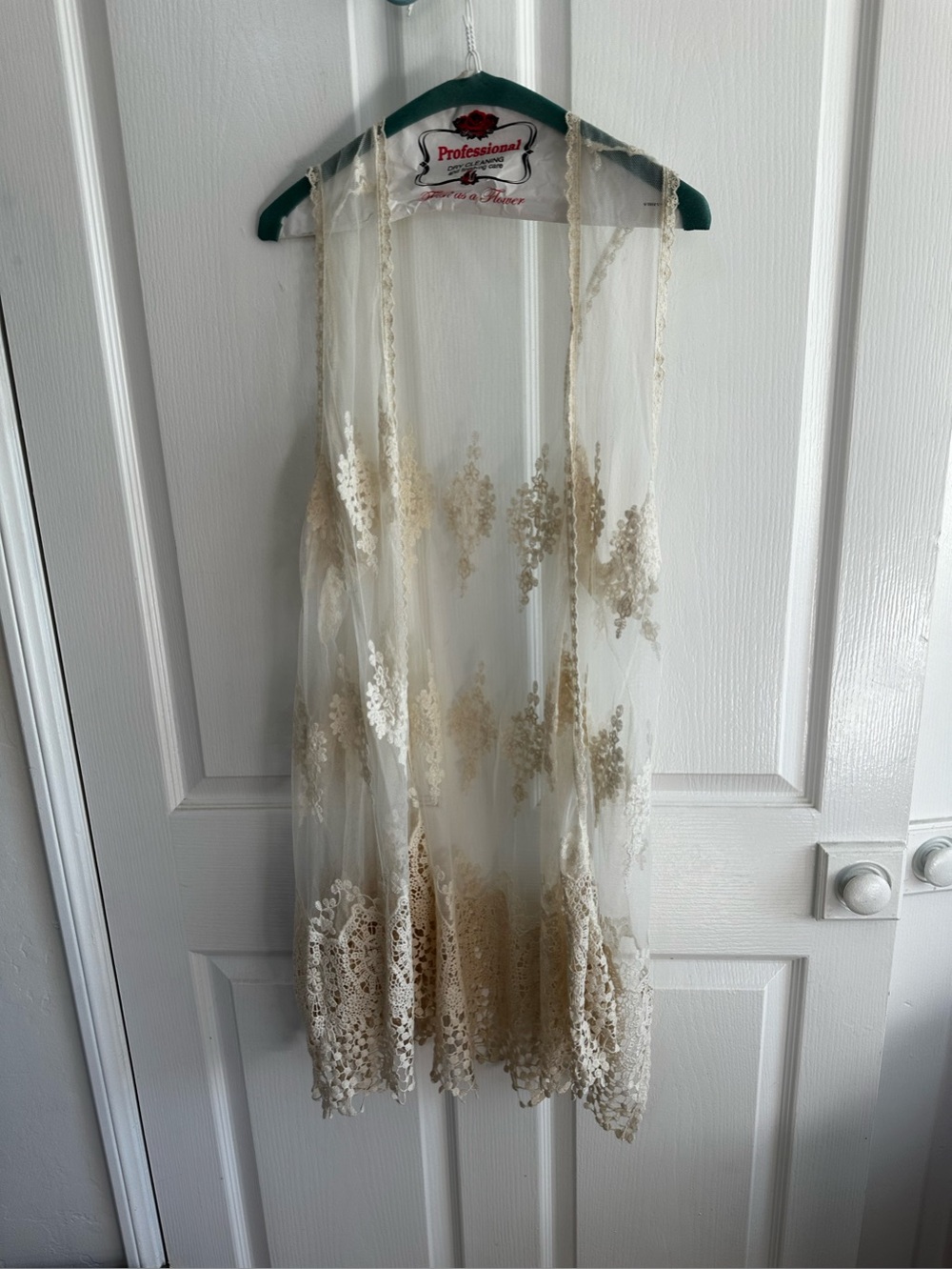Sheer Lace Embroidered Duster Vest in Ivory and Beige